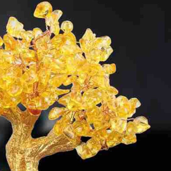 Citrine Small Water Turtle Money Tree - Intuitive Goddess 1111Intuitive Goddess 1111